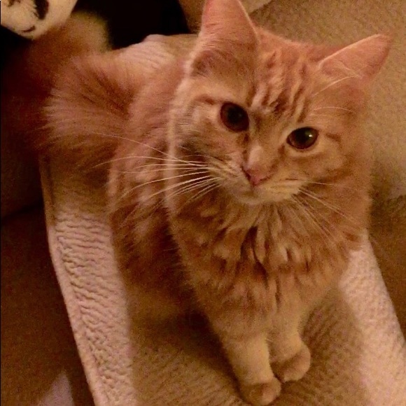 We Didn’t Win Our War With Cancer - Picture 5 of 8